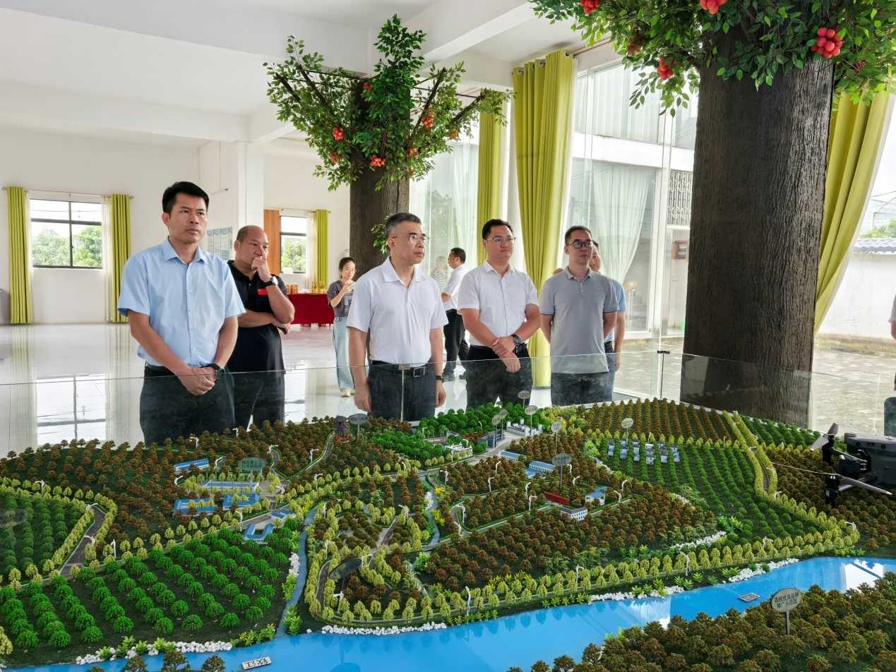 黃智宇調(diào)研欽州市靈山縣人工智能應(yīng)用軟件開(kāi)發(fā)工作 以數(shù)字技術(shù)賦能產(chǎn)業(yè)升級(jí)與區(qū)域發(fā)展